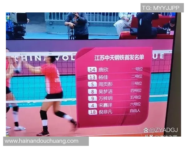 杭州排球队实力强劲荣登全国排球实力排行榜第四名